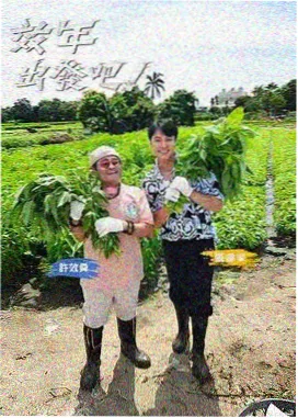 影视大全最新版 综艺